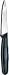 Forschner Victorinox Paring Knife, 3 1 4 in Straight, Small, Black Nylon Handle Model 40600
