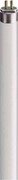 Produkt-Bild: Philips Leuchtstofflampe TL5 39W/865 HO