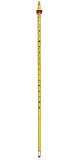 Mercury Thermometer (box of 10) - NOT FOR ORAL USE