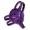 Purple/Purple