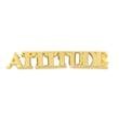 Attitude Pin - cutout