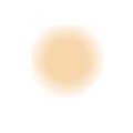ERA Face Foundation ERA&Acirc;&reg; FACE Spray on Foundation Y5 (2.25oz)