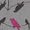 Bird Grey