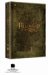 The Lord of the Rings - The Fellowship of the Ring (Platinum Series Special Extended Edition)