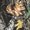Mossy Oak Breakup