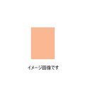 光陽社 （KOYO） マイクロポリネットシート100 （精密仕上げ用網目研磨布） WA-3000(橙色)（25枚入り）　KOYO36