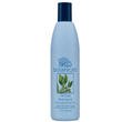 Blue Botanicals Herbal Green Tea & JoJoboa Shampoo For Dogs