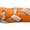 Orange/White