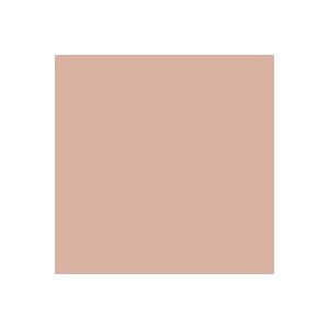 Click here to buy 107 x 12yds Background Paper (#53 Pecan).