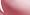 Creamy Rose 441