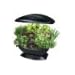 Product Video: Aerogarden