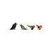 Ostheimer 16801 - Amsel