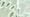 Celador (Mint Green)