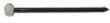 Ace Box Nail (52217) Bx/50lb