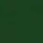 Jacquard Procion MX Fiber Reactive Dye forest green