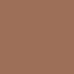 be PROFESSIONAL makeup liquid jojoba foundation 1 oz.-Brown Sugar
