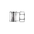 125FS , FST Series, Straight-Thru, Brass Socket, 1-1/4 in. Female Pipe