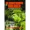 An Unorthodox Soldier: Peace and War and the Sandline Affair