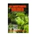 An Unorthodox Soldier: Peace and War and the Sandline Affair