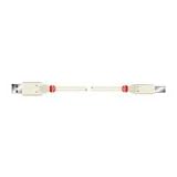 USB 2.0 Type A USB Male to Type B USB Male, .5m