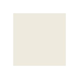 107 x 12yds Background Paper (#12 Studio Gray) by