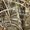 RealTree Max 4