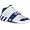 White/Collegiate Royal/Ice Grey