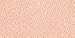 Sephora Brand Matifying Compact Powder R30