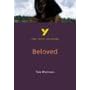 Beloved: York Notes Advanced