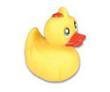 12 pack 2" Rubber Ducks