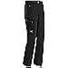 Arc'teryx Mens Psiphon AR Pant Black MD x One Size