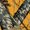 Mossy Oak Blaze