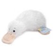 Childrens Toyshop  Toys : WEBKINZ - Googles