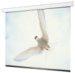 Draper 116240 Targa 16:9 Wall Mounted Motorized Projection Screen