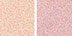 NARS Duo Silk Road Eyeshadow for Women, 0.14 Ounce
