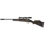 Beeman Guardian Air Rifle Combo, 4x20 Scope air rifle