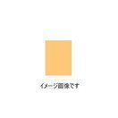 光陽社 （KOYO） マイクロポリネットシート50　（精密仕上げ用網目研磨布） WA-400(オレンジ色)（25枚入り）　KOYO38