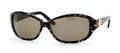 Kate Spade Sunglasses JACQUELINE S JJMP (GN) Golden Tortoise (Brown Polarized) by