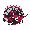Toronto Raptors