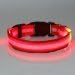 Arcturus LED Dog Safety Collar, Red, Medium