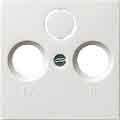 Gira Zentralplatte rws-gl 086903
