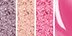 bareMinerals bareMinerals Insider™ Introducing Cheek Tint
