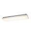 2 Light Ceiling Mount Fluorescent