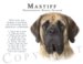 Mastiff Human Trainer Mouse Pad Dog Mousepad