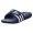 Navy/White