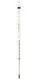 Mercury Thermometer (box of 10)
