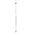 Mercury Thermometer (box of 10)