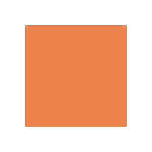 Click here to buy 107 x 12yds Background Paper (#24 Orange).