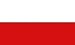6m 20 Flag Poland Polish National Bunting
