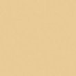 Rosco un 1/2 CTO 20X24 Amber – Rosco RS340811